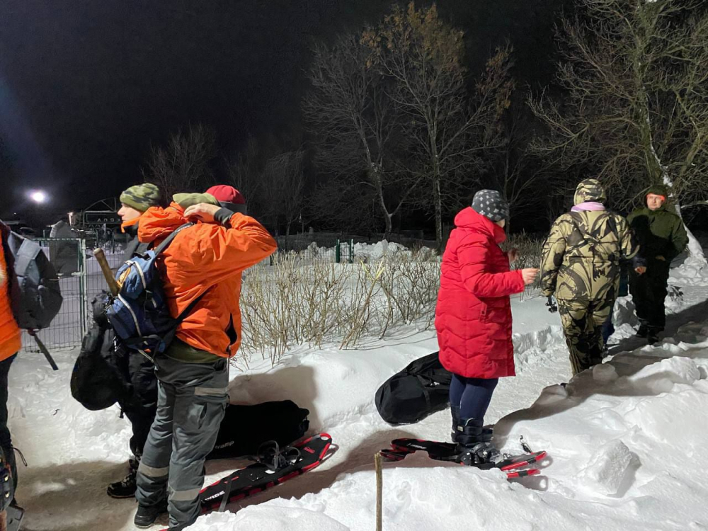 К поискам пропавшей в Волгоградской области школьницы просят подключиться лыжников