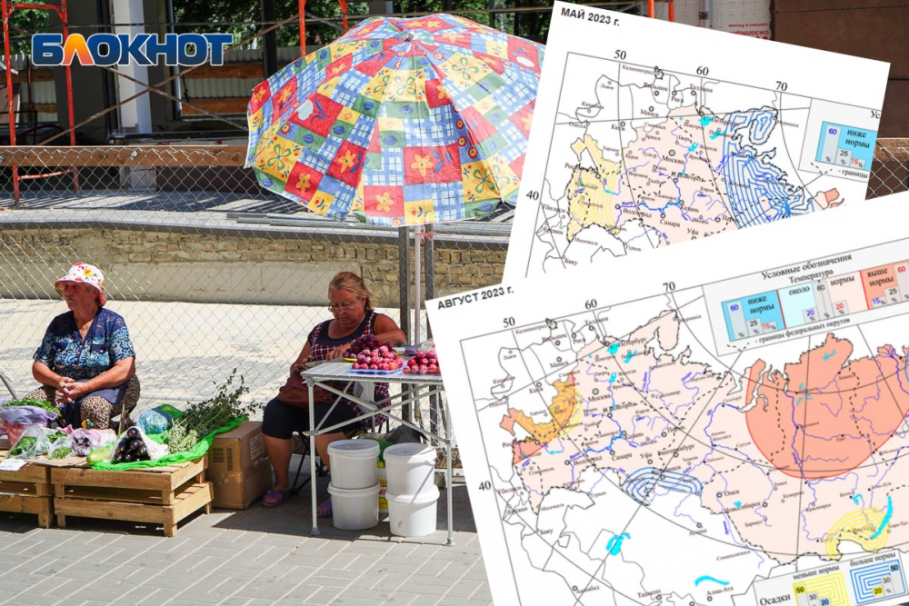 В Росгидромете рассказали о погоде в Волгоградской области летом 2023 года