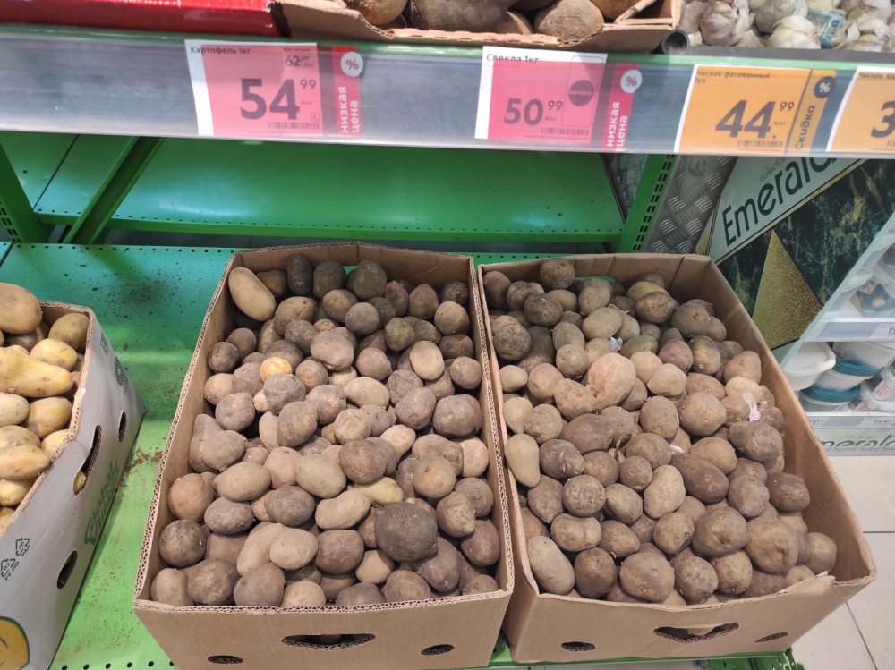 «Кто-то пошутил?»: в Волгограде бесплатно раздают картофель