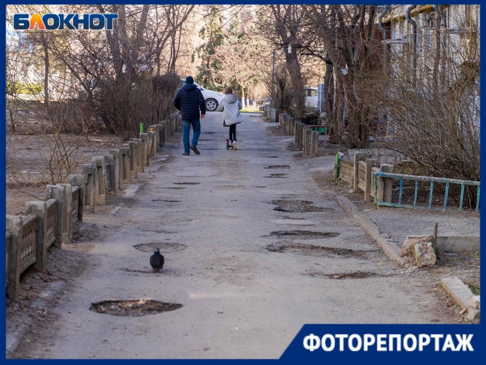 Бездомные собаки, бомжи и разбитые дороги: гуляем по центру Волгограда