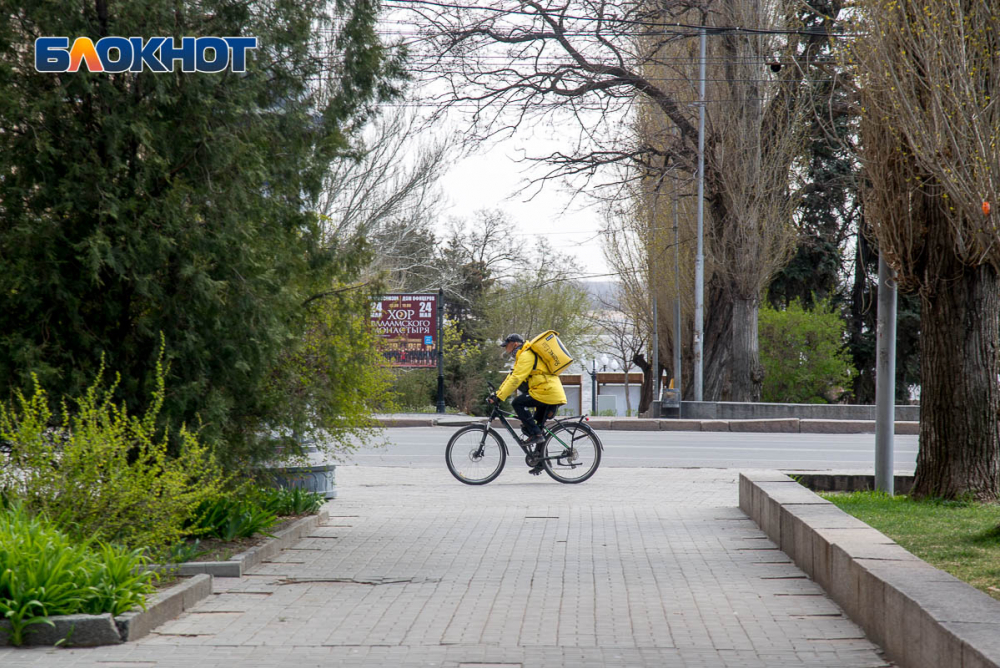 Эксперты заявляют: велокурьеры в Волгограде могут зарабатывать до 80 тысяч рублей