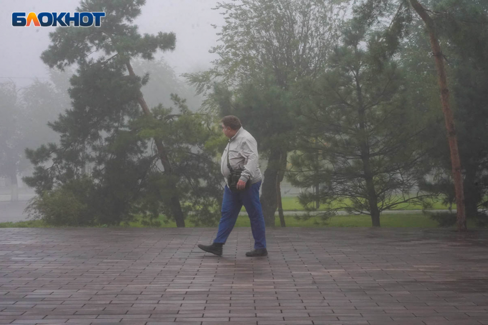 Синоптики предупредили о дожде и геомагнитной буре в Волгоградской области