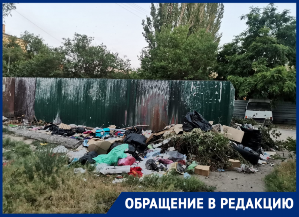 «Город-герой не может мусор победить»: свалка с крысами тянет центр Волгограда на дно