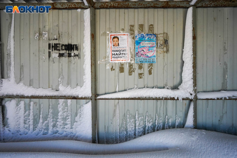 Уставшие, с обморожениями: волонтеры Лиза Алерт в метель продолжают поиски пропавшей школьницы под Волгоградом