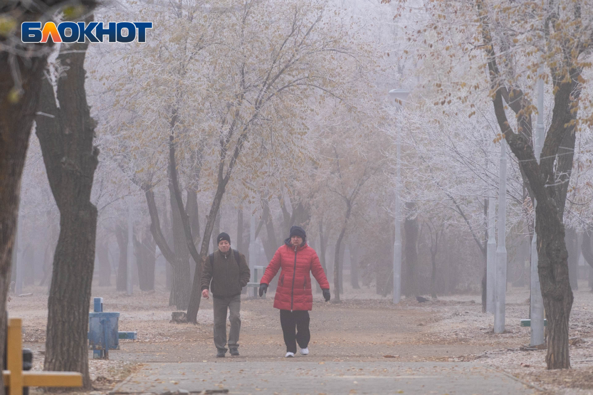 Среди серых еще не одетых деревьев. Самый холодный день в Волгограде.