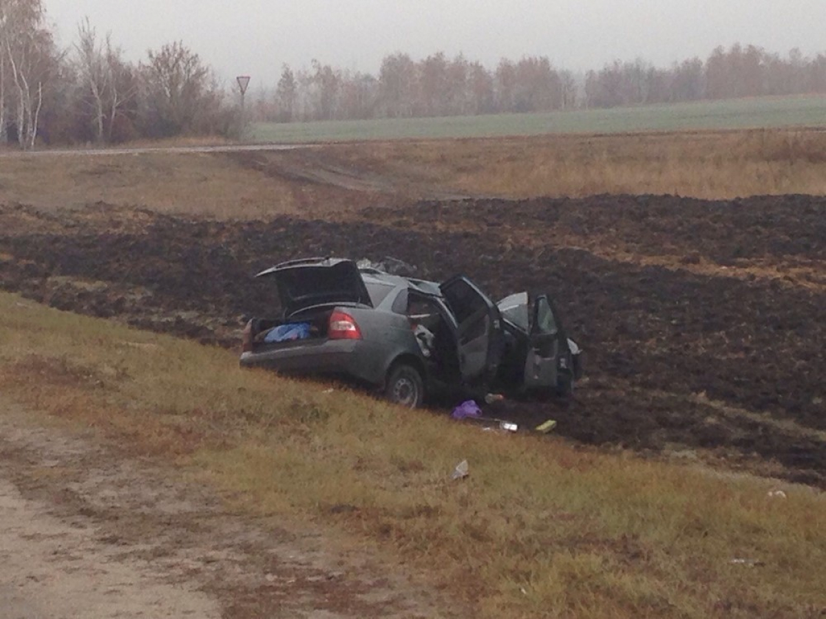 Рп5 в новониколаевском районе