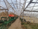 Крупный тепличный комплекс продают под Волгоградом за 147 миллионов из-за долгов