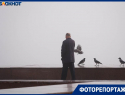 «Не видно ничего!»: пугающее явление накрыло Волгоград — и это не просто туман