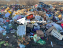 Заражение почвы глистами грозит Волгограду