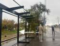 Волгоградцы промокли под дождем на обновленных остановках