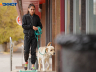 Выгул собак на улицах запрещается: от волгоградцев ждут предложений по благоустройству города