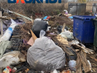 Мусорное бедствие сняли на видео жители частного сектора в Волгограде