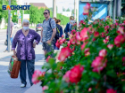 Волгоградские пенсионеры хотят зарабатывать 15 тысяч рублей