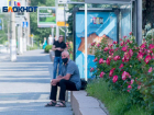 За три дня выходных 688 нарушителей без масок и режима самоизоляции поймали в Волгоградской области