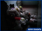 «Тараканы и черви в подъезде»: горы отходов скопились в 7-этажке Волгограда за месяц с забитым мусоропроводом