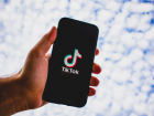 Сколько стоит стать звездой TikTok, посчитали в Волгограде