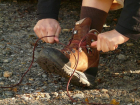 Пастух задушил мужчину шнурками его же сапог на ферме в Волгоградской области