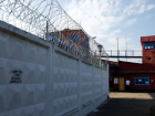 В Волгограде за фашистские наколки осужденных ответит руководство колонии
