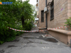 Волгоградцы жалуются на крыс в домах и шумных соседей 