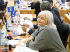Волгоградские депутаты потратят на самопиар бюджетные миллионы 