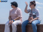 К новому всплеску активности мошкары готовятся волгоградцы 