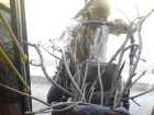 Набитая «осиновыми кольями» детская коляска напугала волгоградцев в автобусе «Питеравто»