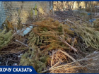 В кладбище высохшей хвои и веток превратился двор на юге Волгограда 