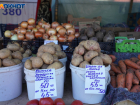 В Волгоградской области похвастались рекордным урожаем молодого картофеля