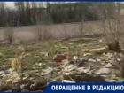 На видео показан микрорайон Волгограда, который жители сравнивают с фильмом ужасов