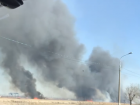 На видео попал полыхающий камыш в Красноармейском районе Волгограда 