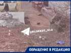Полная антисанитария: на разгуливающих рядом с гимназией гигантских крыс пожаловались волгоградцы 