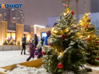 В католическое Рождество в Волгограде будет ясно и морозно до -9º