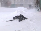 Окоченевший труп обнаружен на юге Волгограда 