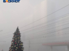 Новогоднюю ель установили на улице в Волгограде 1 ноября