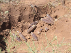 Фермеры раскопали артиллерийские снаряды в Волгоградской области