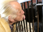 Смертельно опасный поцелуй медведя попал на видео в Волгограде 