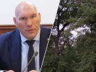 Николай Валуев выступил против вырубки 15 000 дубов ради трассы под Волгоградом