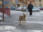 МЧС выдало предупреждение волгоградцам на ближайшие три дня