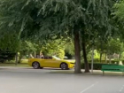 Поездка «Мисс Волгоград» на кабриолете по городскому парку попала на видео