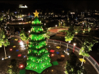 Самую креативную новогоднюю елку выберут в Волгограде
