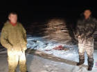 Мясо краснокнижных сайгаков пустили на еду оголодавшие волгоградцы