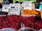 Волгоградский фермер прогнозирует подорожание ягод минимум на 30%