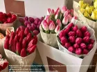 Тюльпаны по цене чашки кофе! Только один день!