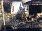 Названа причина пожара в доме волгоградской общественницы Елены Самошиной