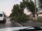 Ураган в Волгограде повалил деревья и повредил авто