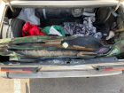 В Волгоградской области задержали троих рыболовов с запрещенными орудиями 