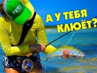 "Блокнот Волгоград" объявляет о начале фотоконкурса «А у тебя клюет?»