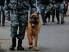 3,5 тысяч полицейских присмотрят за волгоградцами в День Победы