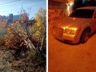 Водитель Chrysler из Армении врезался в каштан, чуть не задавив двух малолетних детей в Волгограде