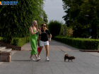 Волгоградская область стала на 18% популярнее у туристов этим летом